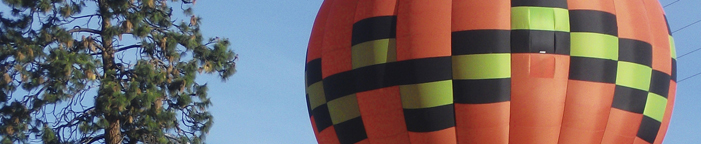 LadyBug and tree; launch